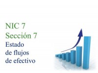 Guía de Aprendizaje - Arqueo de Caja General NIIF 7 Sección 7 Flujos de efectivo